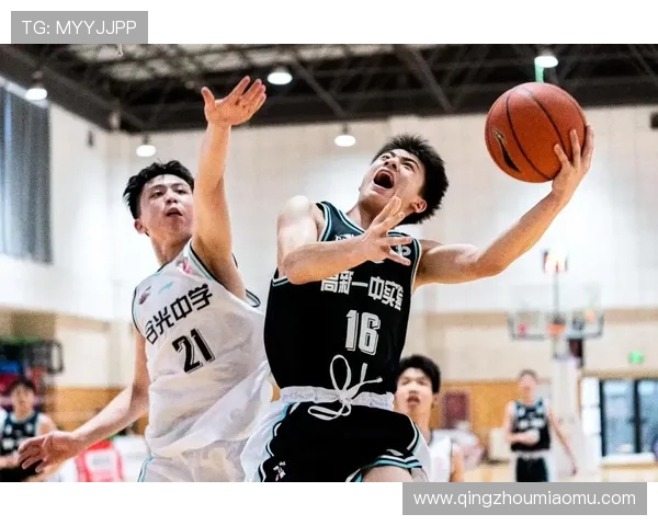 西安篮球队实力深度解析:从历史成就到未来展望的全面分析