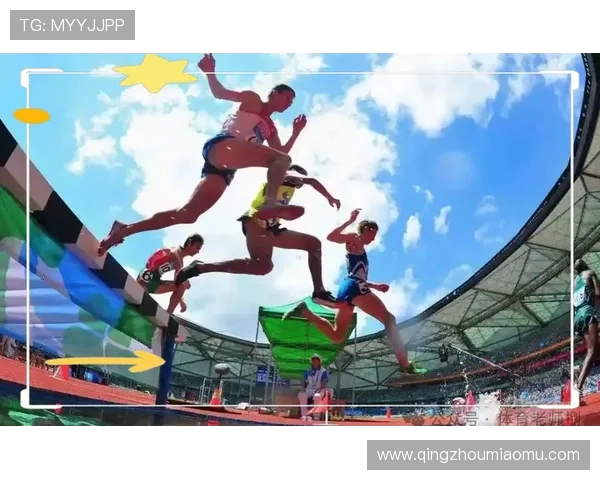 全面探讨体育运动对身心健康与社会发展的积极推动作用及其重要价值影响