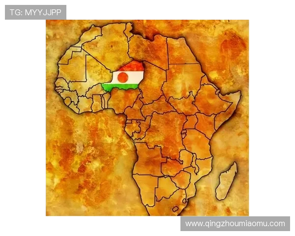 尼日利亚与阿尔及利亚比赛场地分析及影响因素探讨